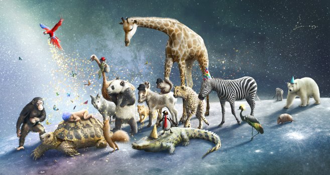 Birth card for Storm