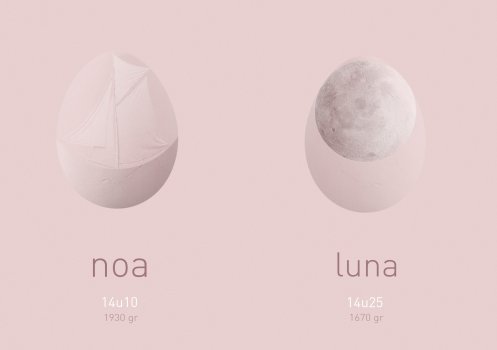 Birth card for my sisters' twins