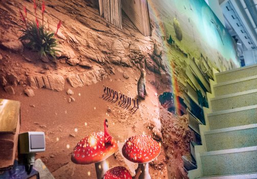 snapshot of the library wall 1