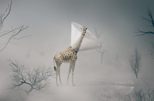 everybody hurts sometimes