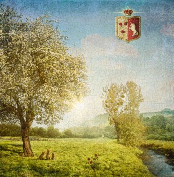 geboortekaartje met wapenschild