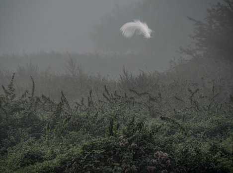 you dropped something