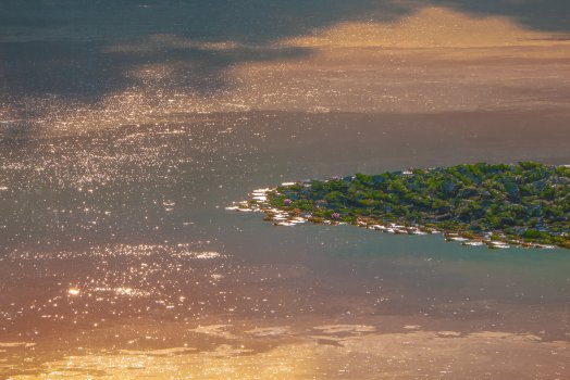 what happened to the pond honey?