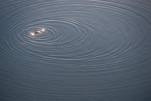 the romancing is strong