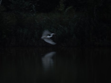 the windmills of your mind