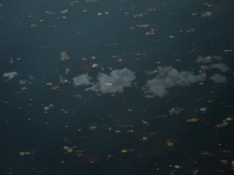 fluffy little clouds