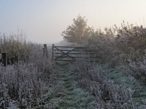 my toes are frozen baby