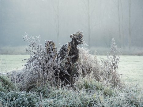 you must be so cold mister